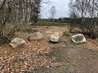 Findlinge am Blinden See Große Findlinge liegen auf einem herbstlichen Waldweg, umgeben von kahlen Bäumen und brauner Vegetation.