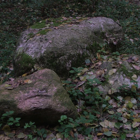 Ein moosbedeckter Felsbrocken in einem von Laub bedeckten Waldstück, umgeben von niedrigem Grün.