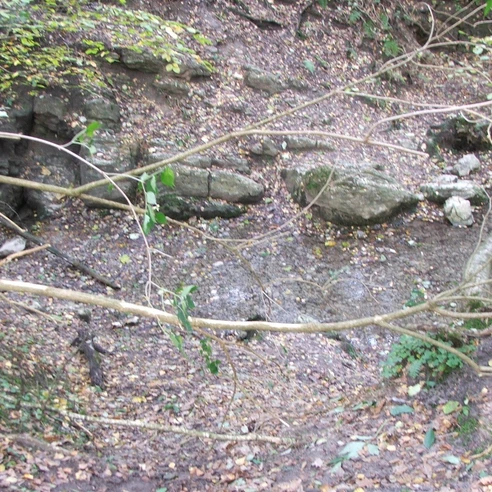 Rethlager Quellen Quellenlandschaft mit herabgefallenen Ästen, steinigen Formationen und herbstlichem Laub im Forst.