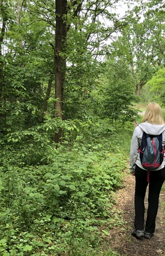 Löns Wanderweg Eine Frau mit Rucksack spaziert auf einem grünen Wanderweg durch einen dichten Wald in Niedersachsen.
