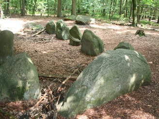 Großsteingrab am Giebichenstein Steinreihe im Wald, bestehend aus großen, moosbedeckten Steinen, umgeben von Laubbäumen.