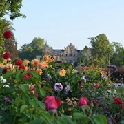 Schloss Ippenburg Tuin met rozen bij het Kasteel Ippenburg in Bad Essen in het Osnabrücker LandHistorisches Schloss im Hintergrund, Vordergrund mit bunten Blumen im Park.