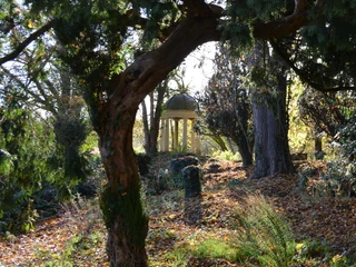 Waldinsel auf Schloss Ippenburg Alter, überwucherter Pavillon in herbstlichem, sonnenbeschienenen Waldstück.