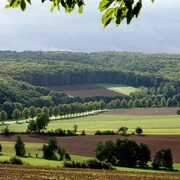 Ausblick Nesselröder Warte ausblick-nesselröder-warte