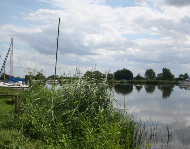 Boote Intscheder Wehr Eine ruhige Flusslandschaft mit mehreren vertäuten Segelbooten am Ufer und bewölktem Himmel.