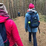 Wandern Vilser Holz Zwei Wanderer in bunten Jacken laufen auf einem Waldweg durch dichten, hochgewachsenen Kiefernwald.