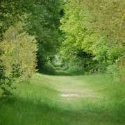 Heilpflanzenlehrpfad