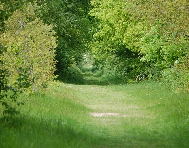 Heilpflanzenlehrpfad