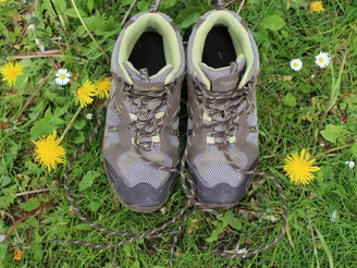 Wanderschuhe Zwei Wanderschuhe stehen auf grüner Wiese, umgeben von kleinen gelben Blumen und weißen Blüten.
