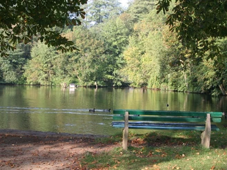Klosterteich Loccum Naturteich mit Enten und grünen Bänken, umgeben von üppigem Laub im Kloster Loccum.