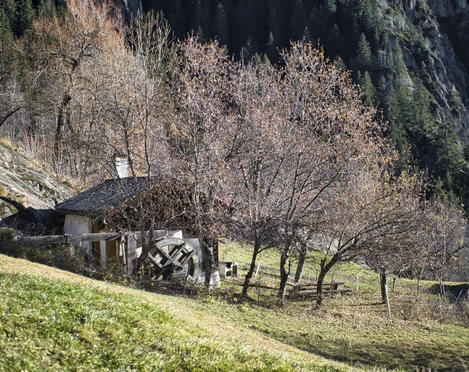 Bakehouse Wichje Backhaus WichjeBakehouse Wichje