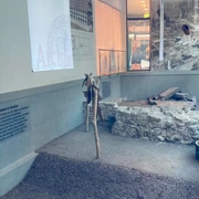 Ausgrabungen Archäo Welle