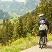 stockhorn-trotti-bike-familie-talfahrt-paus-aussicht.jpg