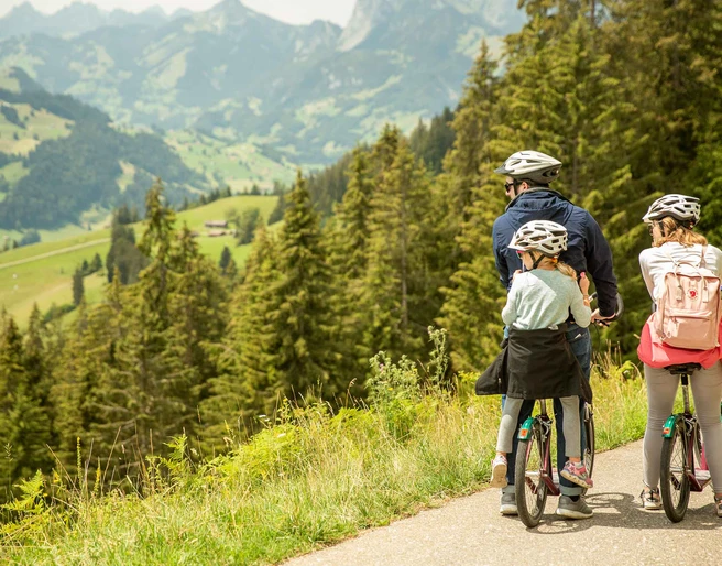 stockhorn-trotti-bike-familie-talfahrt-paus-aussicht.jpg