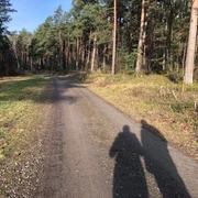 Wandertour Husum Ein schattiger Waldweg am Rande eines dichten Kiefernwaldes, mit zwei Schattensilhouetten auf dem Weg.