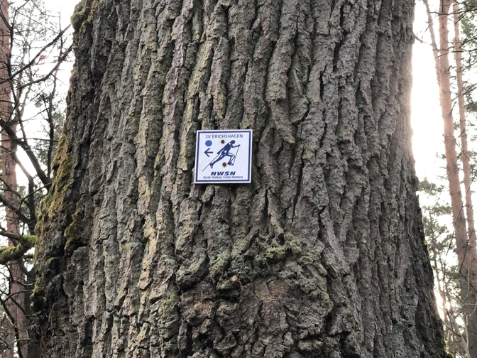 Ein Schild mit Nordic Walking Logo befindet sich an einem Baumstamm in einem bewaldeten Gebiet.