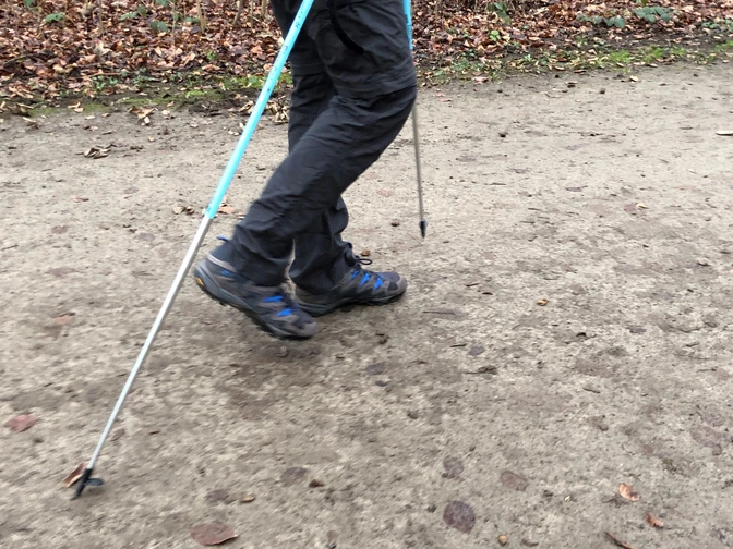 Nordic Walking Ein Nordic Walking-Enthusiast geht auf einem mit Herbstlaub bedeckten Pfad mit Trekkingstöcken.