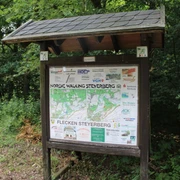 Nordic Walking Steyerberg Holztafel mit Informationskarte und Sponsorenlogos im Wald, umgeben von grünem Blattwerk und Unterholz.