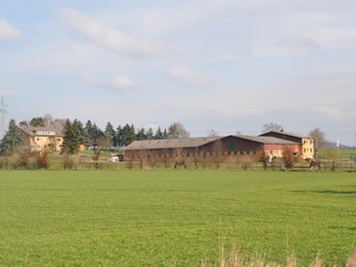 Birkenhof Einbeck_Gelände birkenhof-einbeck-gelaende