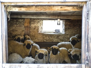 Dorfführung Blatten – spannend, kulturell und lehrreich. Dorfführung Blatten – spannend, kulturell und lehrreich.