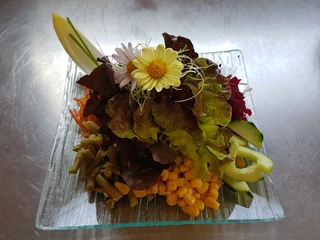 Salat