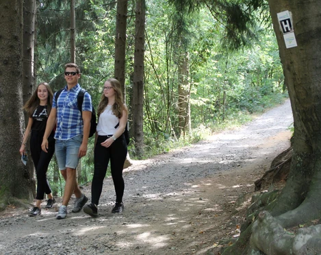 Wandern an den Dörenther Klippen Drei junge Menschen wandern fröhlich auf einem Waldweg zwischen hohen Bäumen.