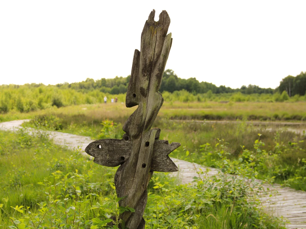 Moorlehrpfad NIZ Goldenstedt