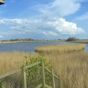 NABU Vogelbeobachtungsstation Krummhörn Die NABU Vogelbeobachtungsstation in der Gemeinde Krummhörn