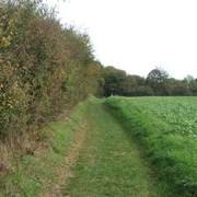 Blick auf die Egge Wanderweg entlang einer grünen Wiese, flankiert von Bäumen und Sträuchern am Waldrand.