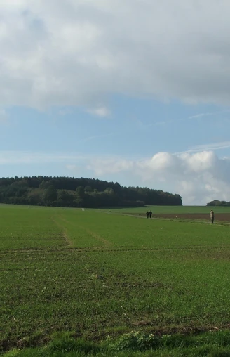 Weitläufiges grünes Feld unter bewölktem Himmel mit einem Wald am Horizont und Spaziergängern.