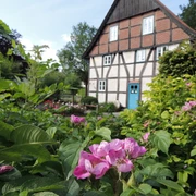 Corves Mühle - Tourist Info Historisches Fachwerkhaus mit blauer Tür, umgeben von blühenden Sträuchern und grünen Bäumen.