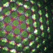Im Zeitlupenkaleidoskop fließen Flüssigkeiten ganz langsam durch das Bild und verändern es so in Zeitlupe Farbenfrohes Kaleidoskop-Muster mit langsamer Bewegung, zeigt harmonische Anordnung sich wandelnder Formen.