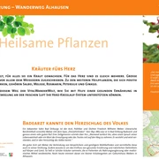 VitalWanderWelt Wanderweg Alhausen - Heilsame Pflanzen Wanderweg Alhausen bietet Informationen zu gesundheitsfördernden Kräutern wie Melisse und Ginko.