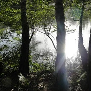 Abendstimmung