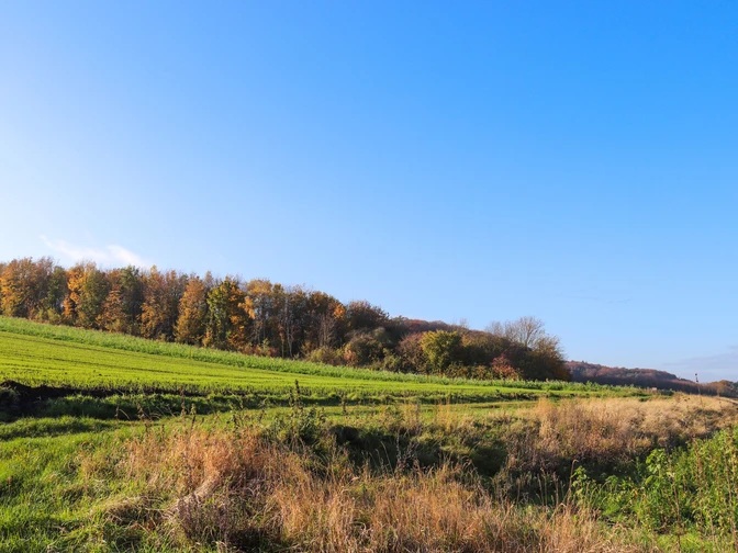 Stemweder Berg im Herbst