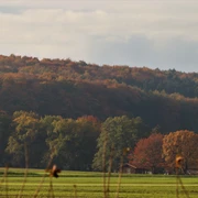 Bunte Farben am Stemweder Berg