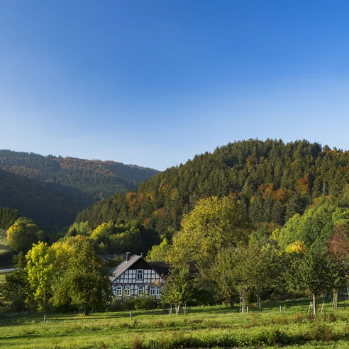Herbstlandschaft in Willingen-Schwalefeld