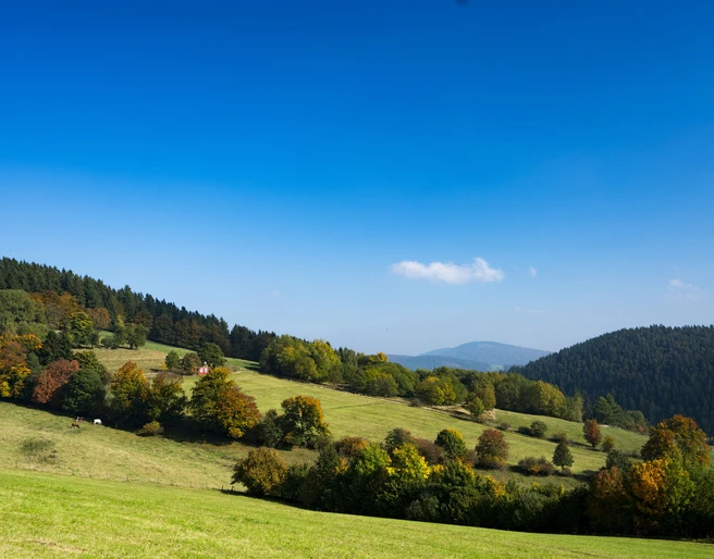 Wandern im Herbst in Willingen