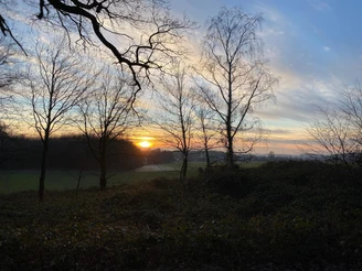 Frostiger Winter am Hollager Berg Sonnenuntergang hinter Bäumen in einer ländlichen Landschaft.