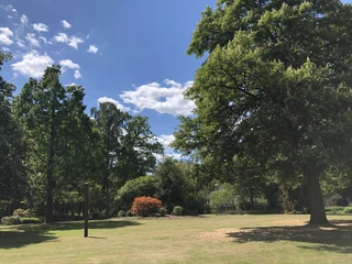 Kurpark Bruchhausen-Vilsen Parklandschaft mit grünen Bäumen und strahlend blauem Himmel im Kurpark Bruchhausen-Vilsen.