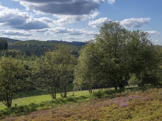 Heidelandschaft mit markantem Himmel, im Hintergrund der Hochheideturm