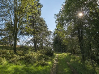 Graswanderweg in Willingen
