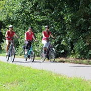 Radfahrer Mittelweser Drei Radfahrerinnen fahren auf einem asphaltierten Weg, flankiert von üppigen grünen Bäumen.