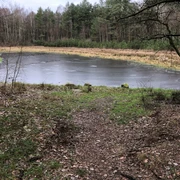 Blinder See Ein kleiner, von Bäumen umgebener See mit einem gefrorenen Wasserbett und einem schmalen Pfad.