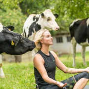 Yoga auf der Wiese  Frauen beim Yoga auf einer Wiese, umgeben von neugierigen Kühen.