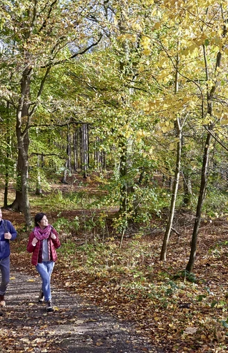 Schlei-Eider-Elbe-Weg