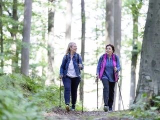 Wandern in Bad Essen Bad Essen