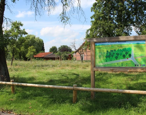 Streuobstwiese Rodewald Grüne Streuobstwiese in Rodewald mit Infotafel, Bäumen und einem Bauernhaus im Hintergrund.