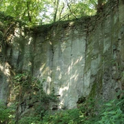 OLYMPUS DIGITAL CAMERA OLYMPUS DIGITAL CAMERA