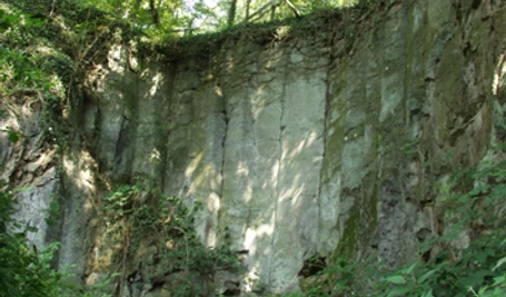 OLYMPUS DIGITAL CAMERA OLYMPUS DIGITAL CAMERA